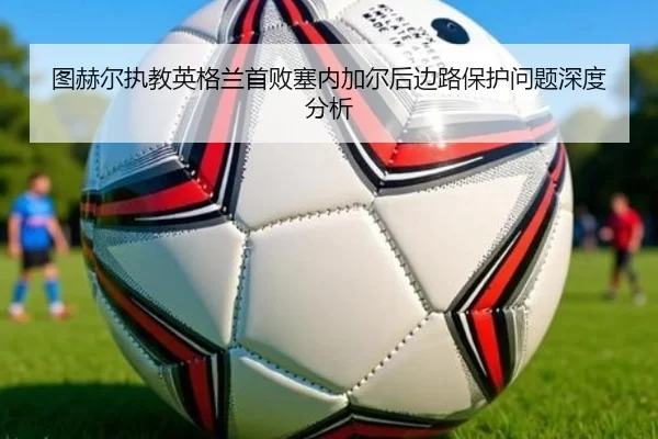 tu-he-er-zhi-jiao-ying-ge-lan-shou-bai-sai-nei-jia-er-hou-bian-lu-bao-hu-wen-ti-shen-du-fen-xi-2-385.jpg